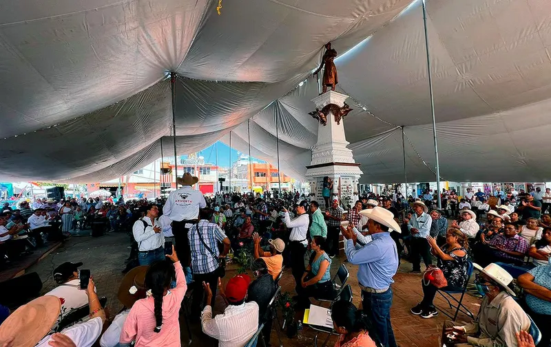 alejandro-armenta-acatlan-pandemia-edulcorantes
