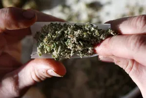 Pese a Trump, EU se relaja con la mariguana: legal en 29 estados