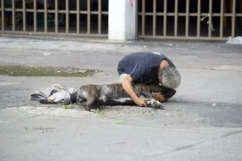Perrito muere mientras defendía a su dueño de un asalto en las calles de la CDMX