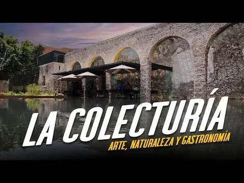 Imagen del artículo
