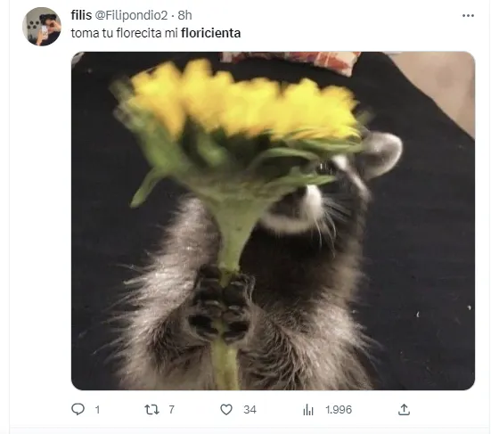 Floricienta