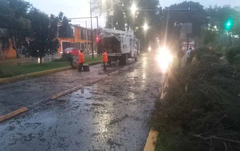 Imagen del artículo