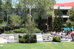 Académico Ibero no ve en encuestas confiabilidad