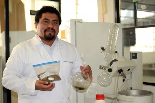 “Lengua de Vaca”, planta medicinal para tratar enfermedades bucales