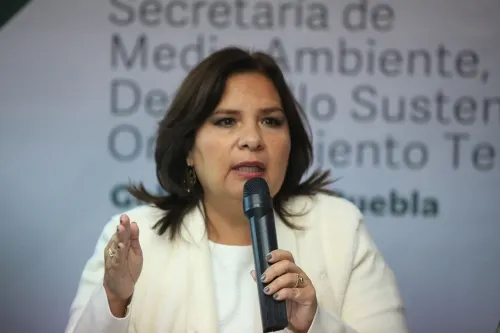 Medio ambiente rechaza solicitud para obras del Corredor 5 de Mayo