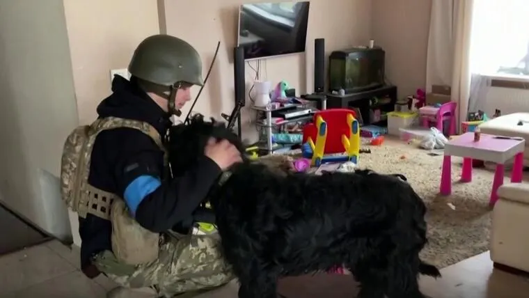Soldados ucranianos rescatan a perrita cerca de Kiev