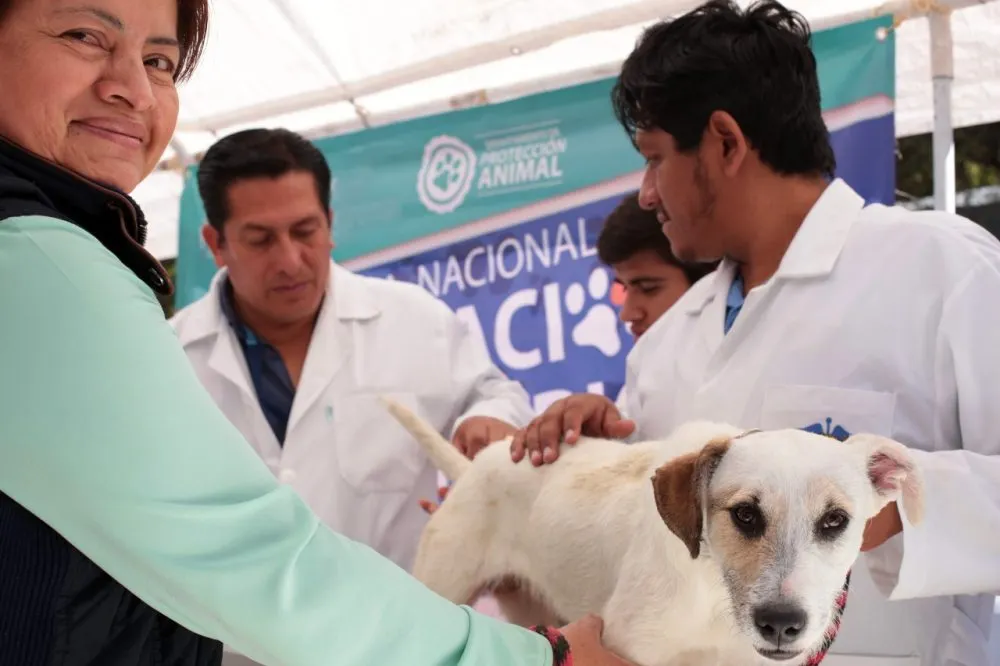 Vacunación Perros