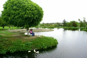 Inconformes con remodelación del Parque Ecológico buscarán más amparos