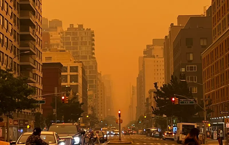 NY