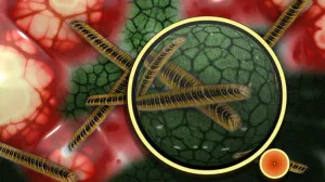 Encuentran organismos extraterrestres en Yellowstone