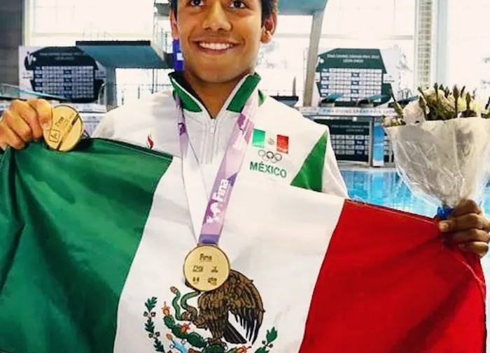 Imagen del artículo