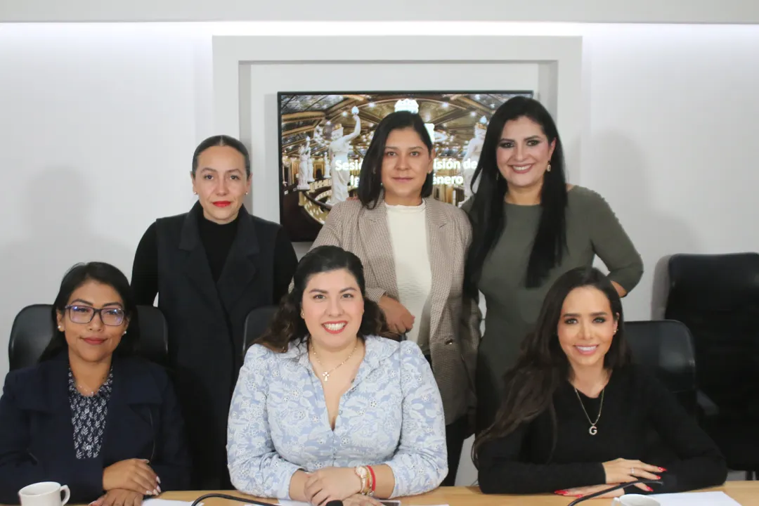 Comisión de Igualdad de Género