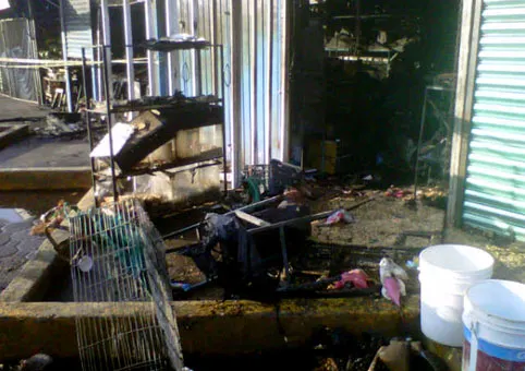 Bomberos sofocan incendio al interior de una pastelería en El Carmen