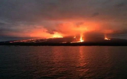 Declara SGR “Alerta naranja” por erupción del volcán Sierra Negra en Galápagos