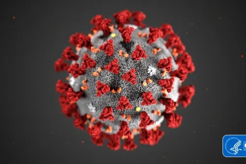 Científicos del INAOE logran destruir con luz solar y nanomateriales el Covid-19 en superficies