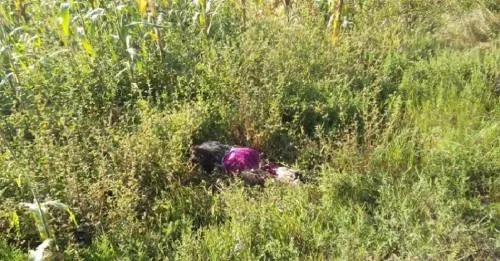 Hallan cadáver de una mujer en límites de Tlaxcala y Puebla