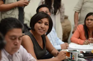 Mi candidatura fortaleció la fuerza social del PRD: Roxana Luna