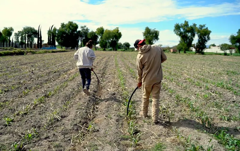 La transformación del campo en Puebla está alineada al Programa Nacional de Soberanía Alimentaria: Armenta