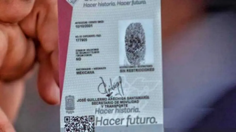 Piden al Congreso regular entrega de licencias de manejo a menores