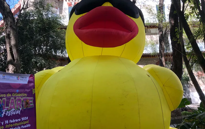 Imagen del artículo