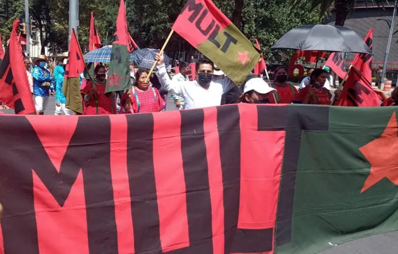 mult-oaxaca-marcha-cdmx