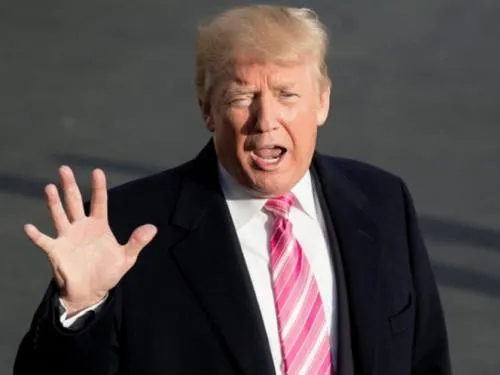 Usa Trump ataque en Egipto para avalar muro fronterizo