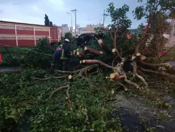 Dos árboles caídos y avenidas inundadas, principales afectaciones por la fuerte lluvia en Puebla