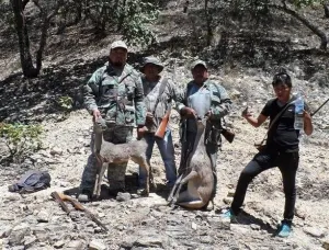 Profepa ya investiga a cazadores en Biosfera Tehuacán