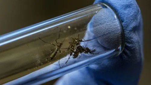 Van 43 decesos por dengue en el país; se han registrado 18 mil 320 contagios