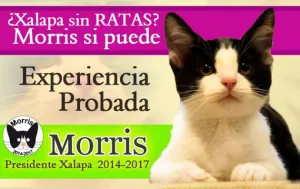 El candigato ?Morris? obtuvo 600 votos en Xalapa