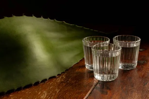 Albergará Casa de Cultura encuentro mezcalero de “Las Hijas del Maguey”