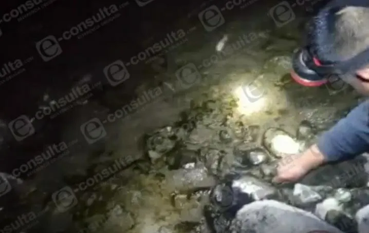 Para extraer camarones, envenenan río de Cuetzalan