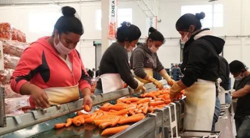 Garantizada la producción de alimentos durante periodo de contingencia: SDR