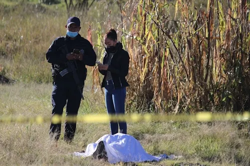 Causa Común documentó en Puebla 127 notas periodísticas catalogadas cómo “atrocidades”