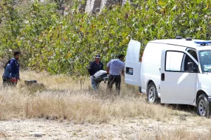 Encuentran en Valsequillo cadáver de joven embarazada