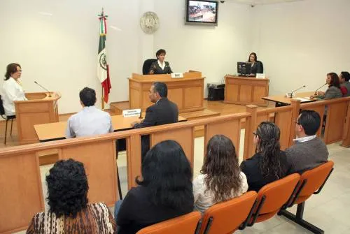 Reto para Senadores y Diputados es revisar sobre la tipificación de delitos en el SJPA