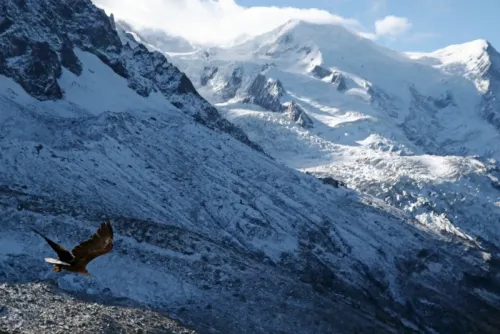 Glaciares suizos se redujeron 10% en cinco años