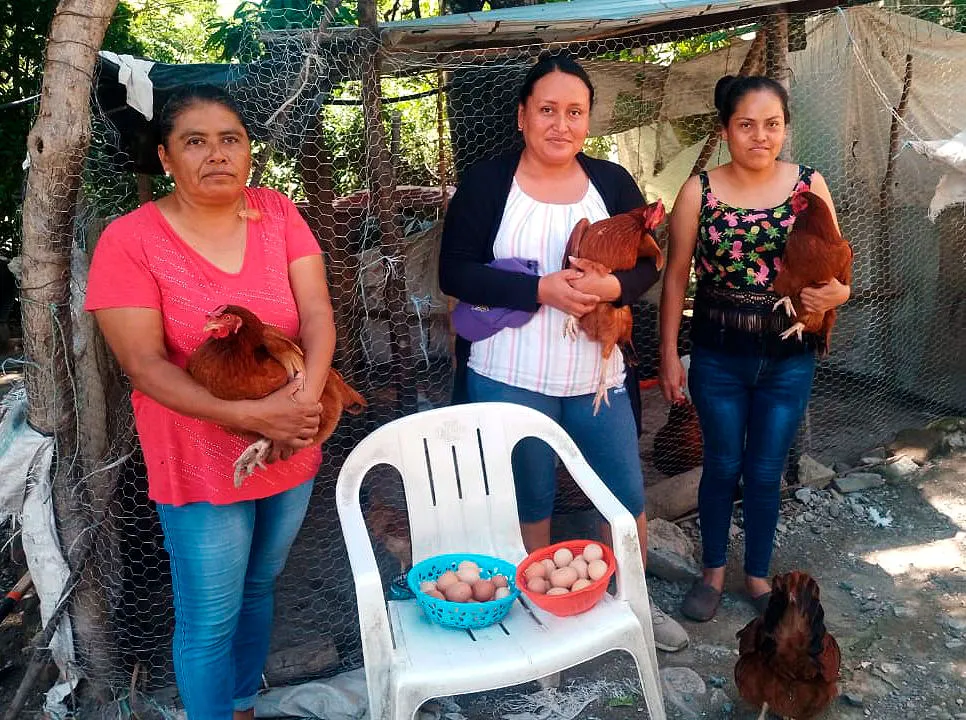 Bienestar Puebla Modulos Avicolas