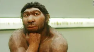 Los humanos podrían haber acabado con los neandertales… por este accidente