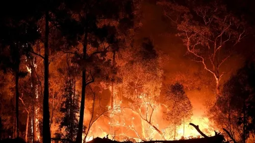 Afectan 55 incendios más de dos mil hectáreas en 11 estados de México