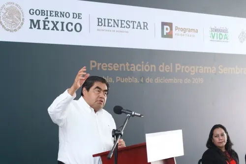 Puebla reactivará el campo a través de Sembrado Vida que por años permaneció en el rezago: Barbosa