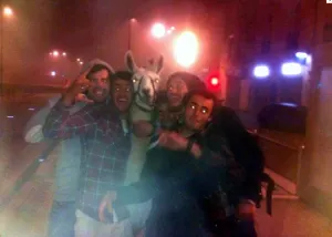 ”Ola k ase”, robando una llama ”o k ase”