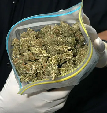 Gobierno de EEUU permitirá uso de marihuana en estados