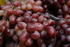 Precio de la uva se ubica en los 120 pesos el kilo