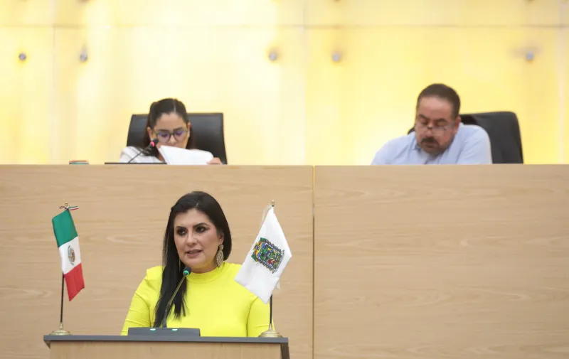 delfina-pozos-vergara