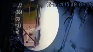 VIDEO: A patadas, chofer tira del camión a un adulto mayor