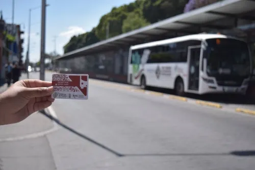 ¡De nuevo! Alimentadora de RUTA atropella a 3
