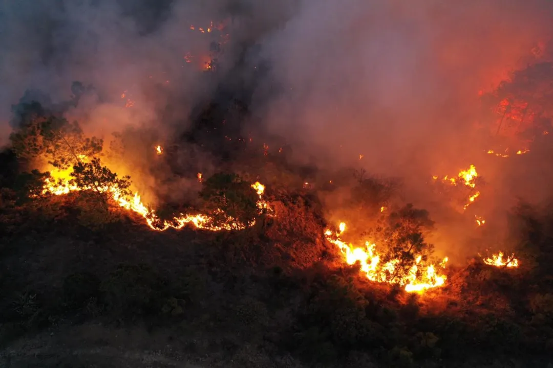 Incendio forestal