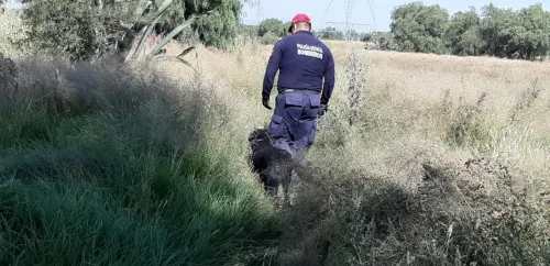 Hallan sin vida a menor reportado como desparecido en Tecamachalco