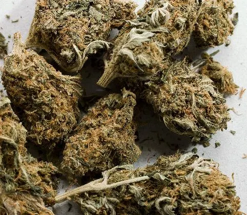 Enfrenta proceso penal por vender droga a estudiantes